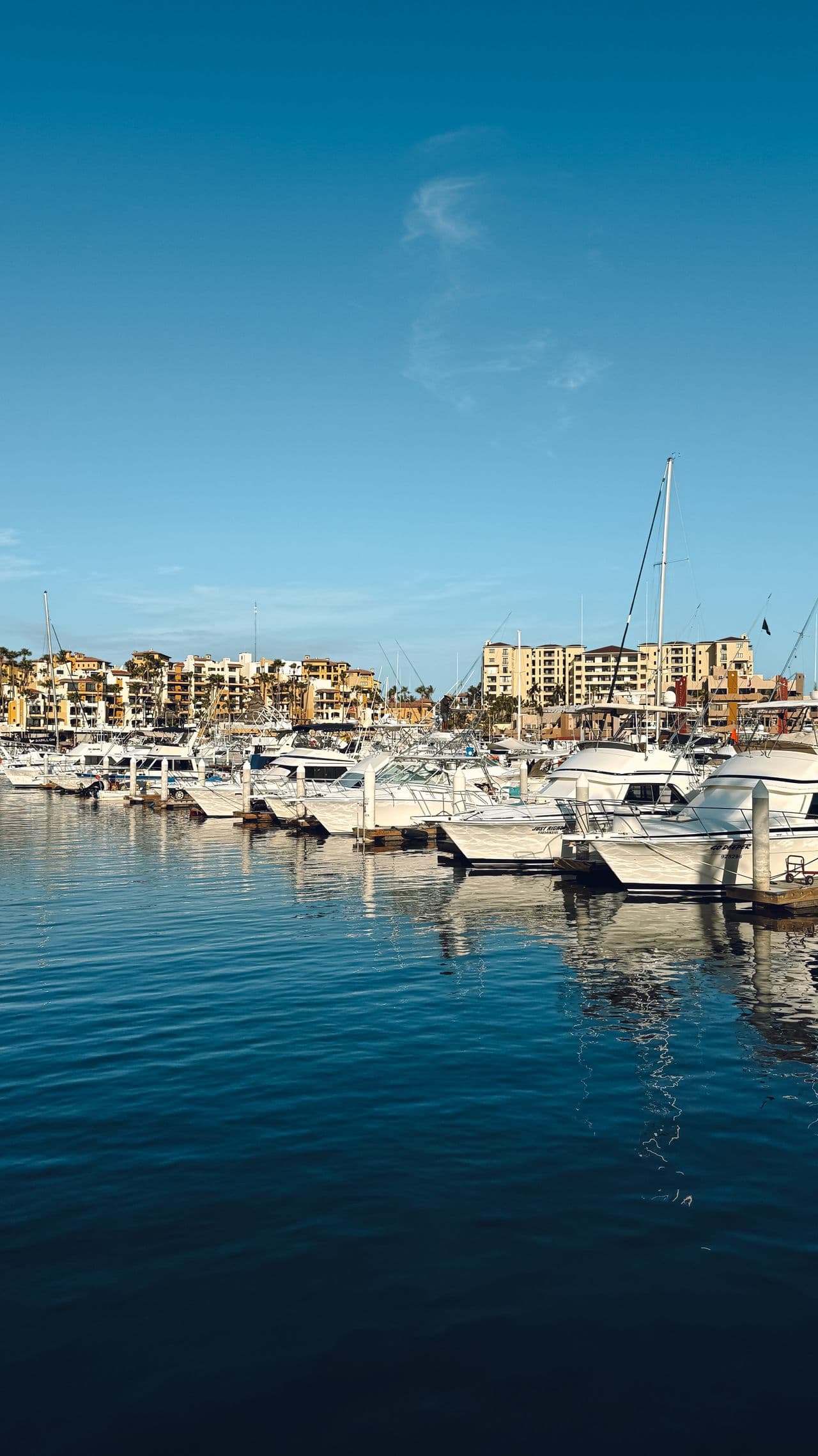 Yacht club & rentals